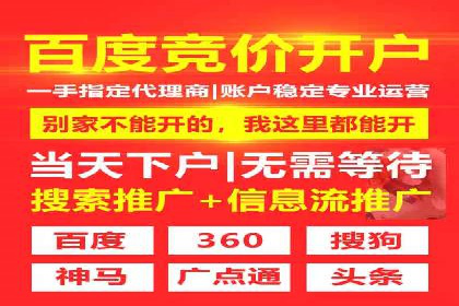 搜索引擎关键词竞价排名的策略调整与案例