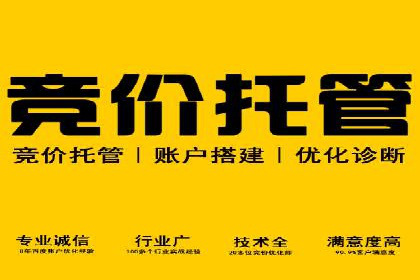 案例研究：关键词推广费用与ROI的关系